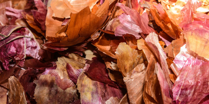 Dyeing Plants